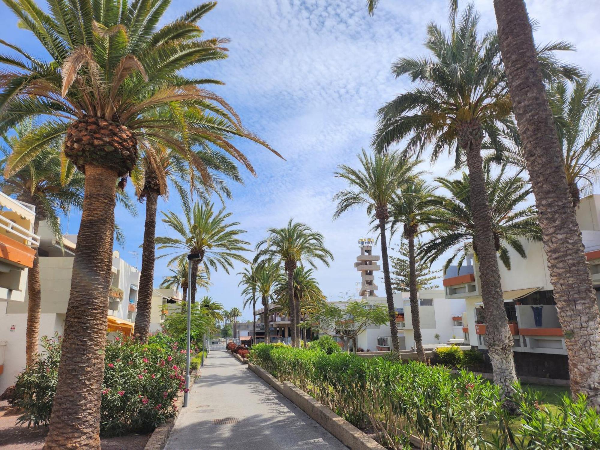 Tenerife Sunshine South Apartment Beach By La Ballena أرونا المظهر الخارجي الصورة