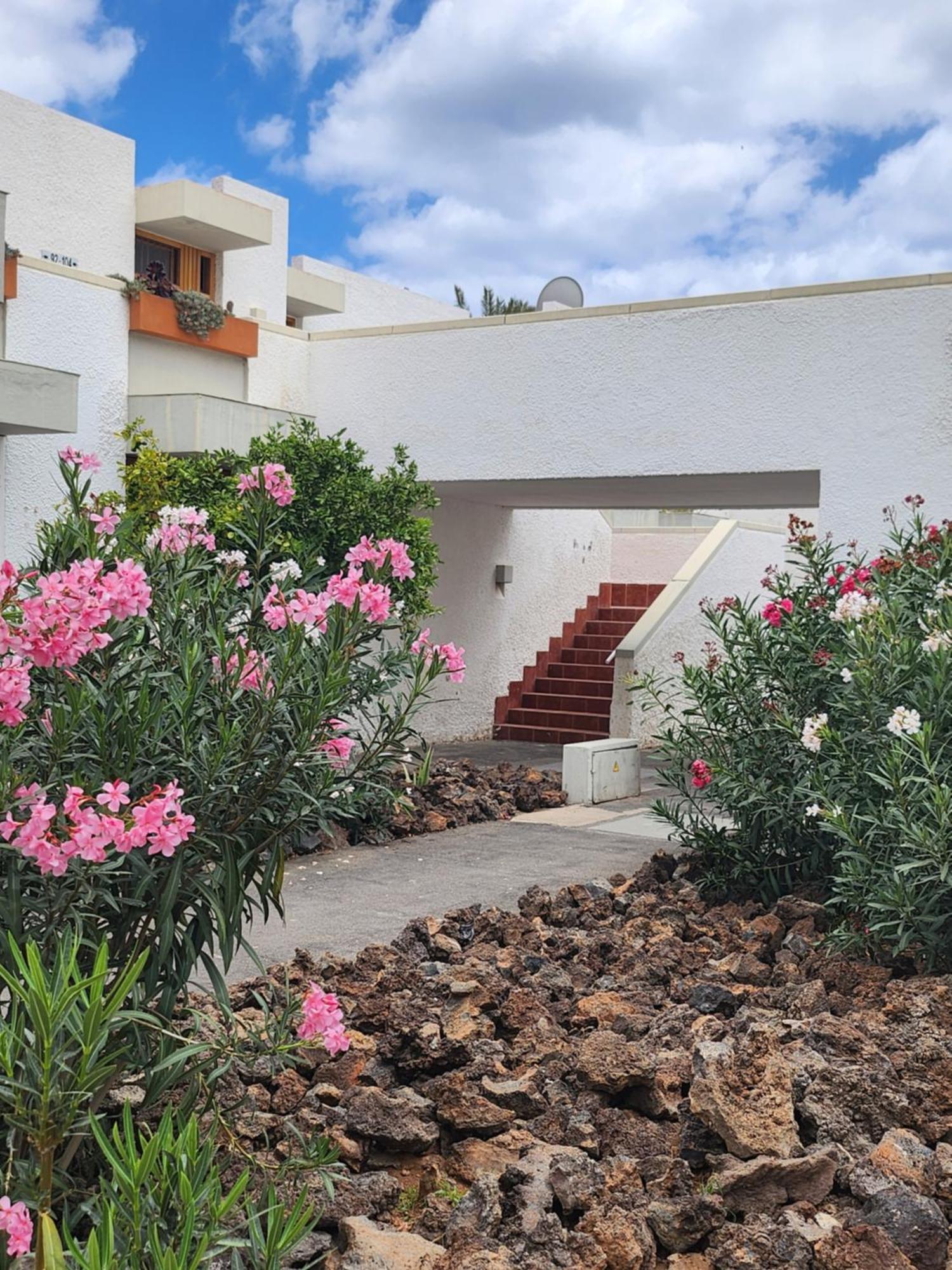 Tenerife Sunshine South Apartment Beach By La Ballena أرونا المظهر الخارجي الصورة